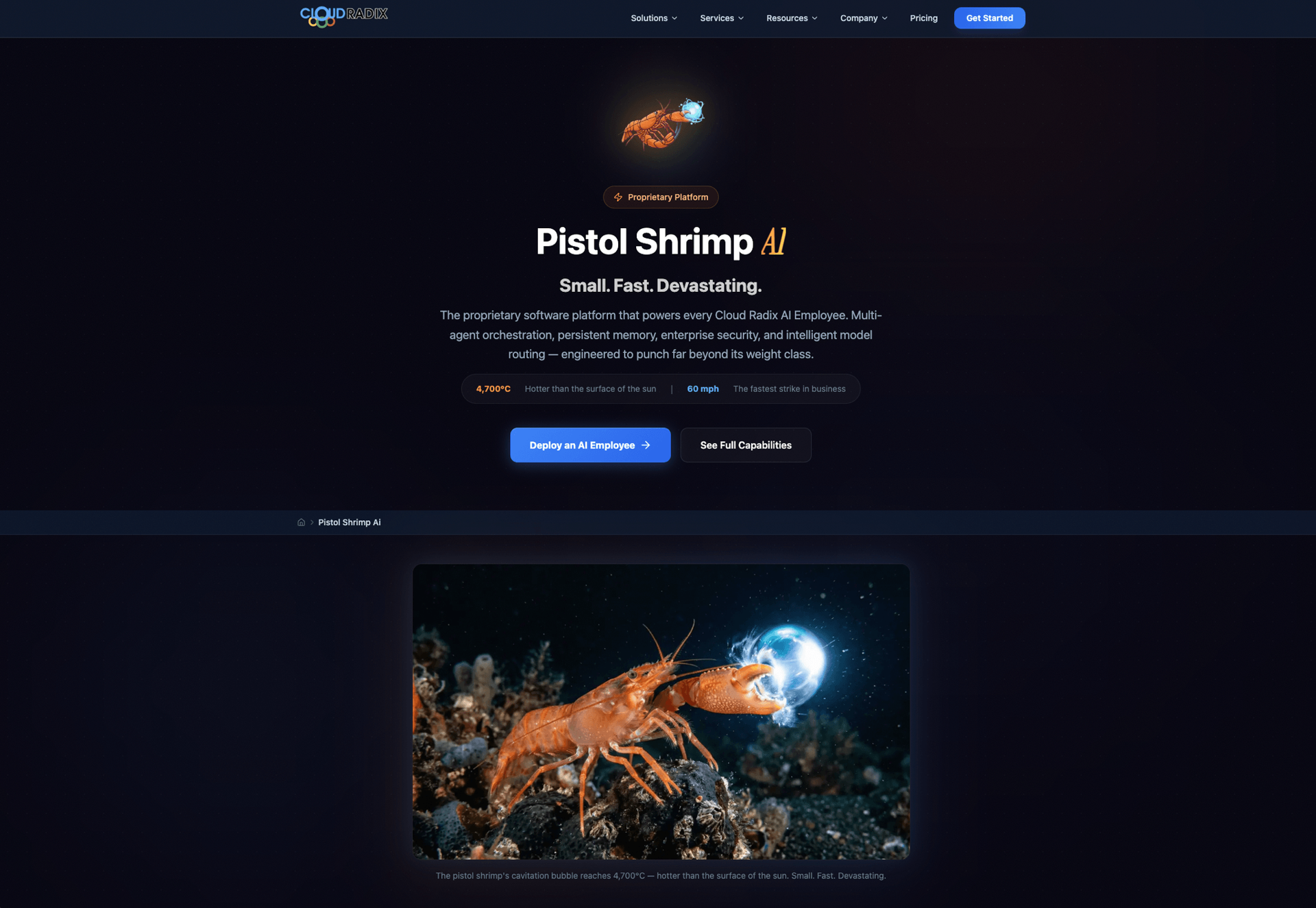 Cloud Radix Pistol Shrimp AI platform — the proprietary software powering every AI Employee, built by Skywalker from Button Block