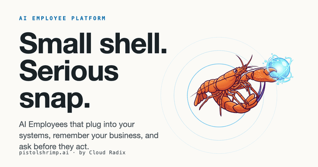 The finished pistolshrimp.ai website that Skywalker scored 22/40 mid-build, then fixed before launch