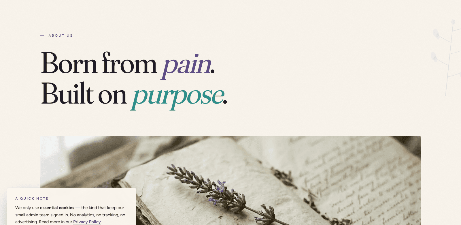 Saving Grace About page — Born from pain, Built on purpose — the founder's story and mission of the Northeast Indiana sexual assault survivor advocacy nonprofit