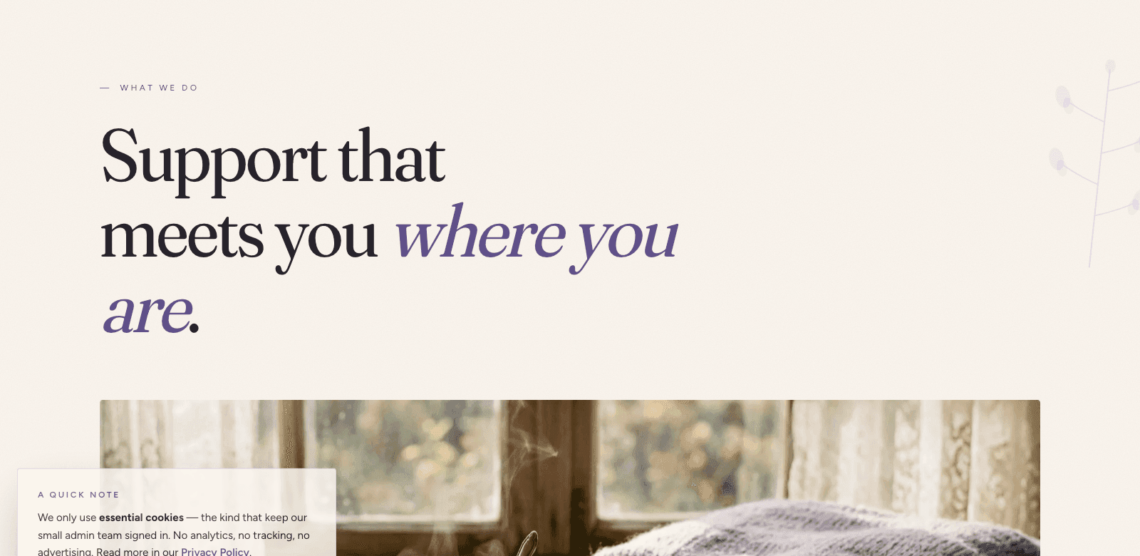Saving Grace What We Do page — Support that meets you where you are — programs and survivor services landing page