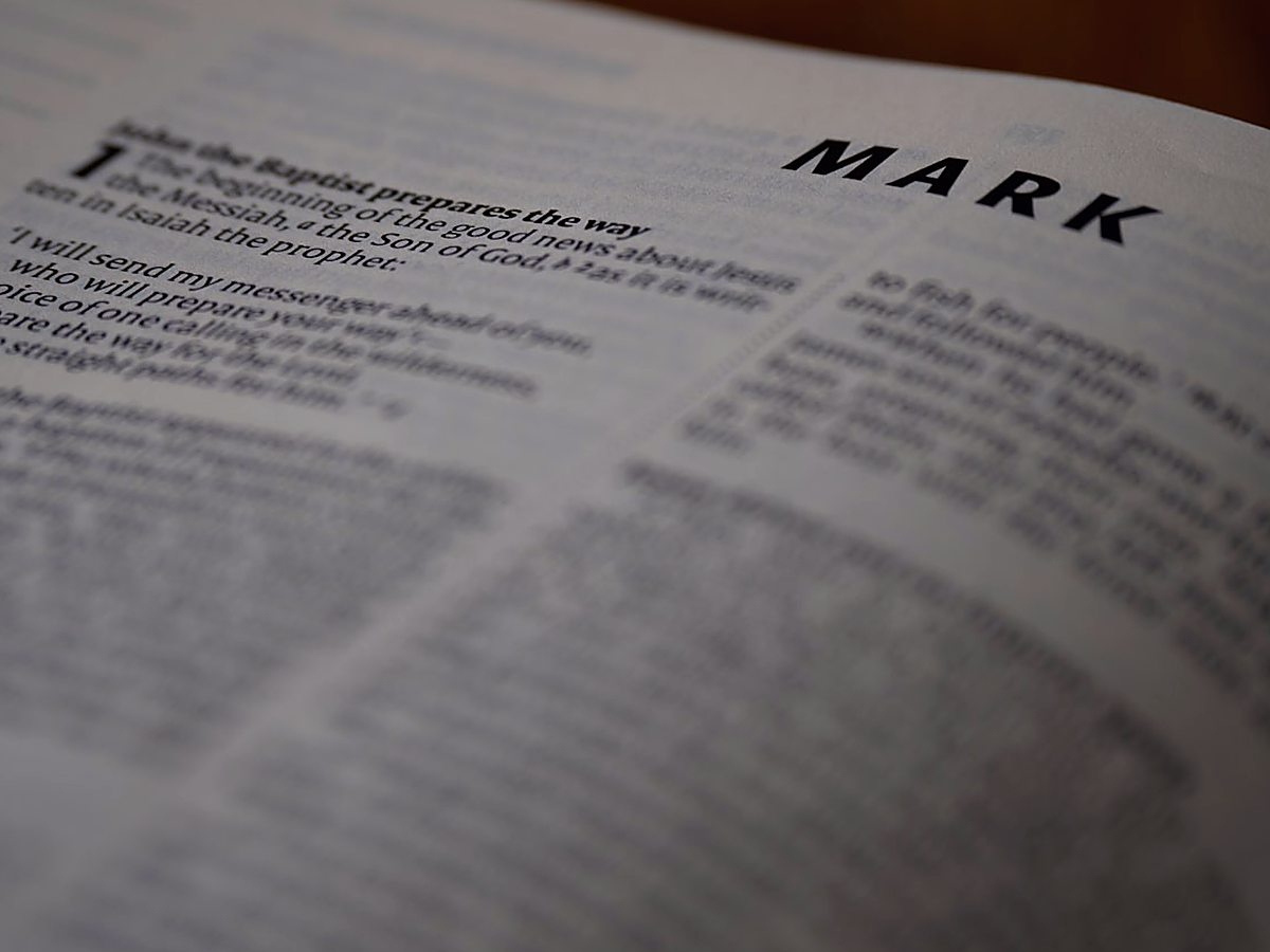 Competitive analysis comparing Cloud Radix AI Employee pricing with other providers